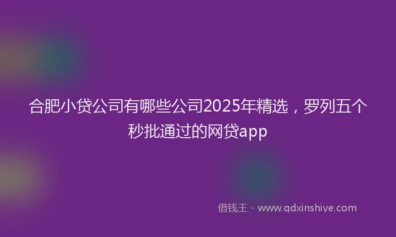 合肥小贷公司有哪些公司2025年精选，罗列五个秒批通过的网贷app