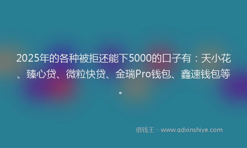 2025年的各种被拒还能下5000的口子有：天小花、臻心贷、微粒快贷、金瑞Pro钱包、鑫速钱包等。