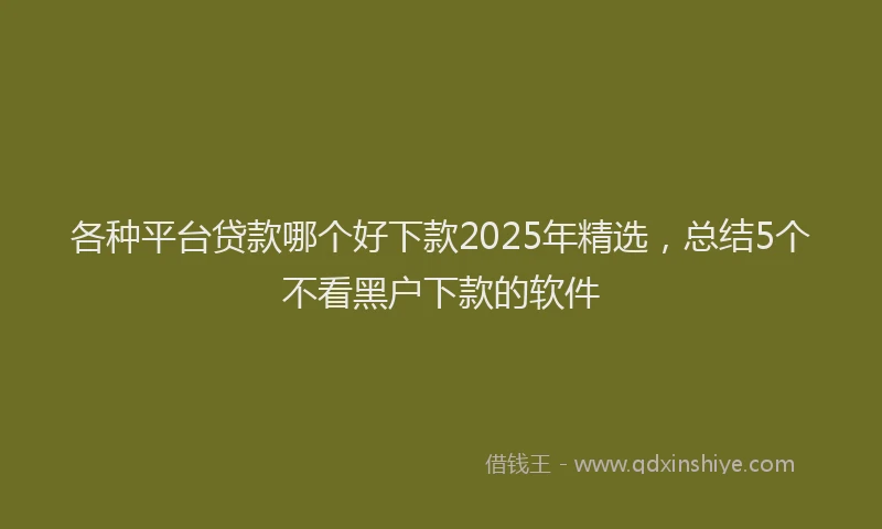 各种平台贷款哪个好下款2025年精选，总结5个不看黑户下款的软件