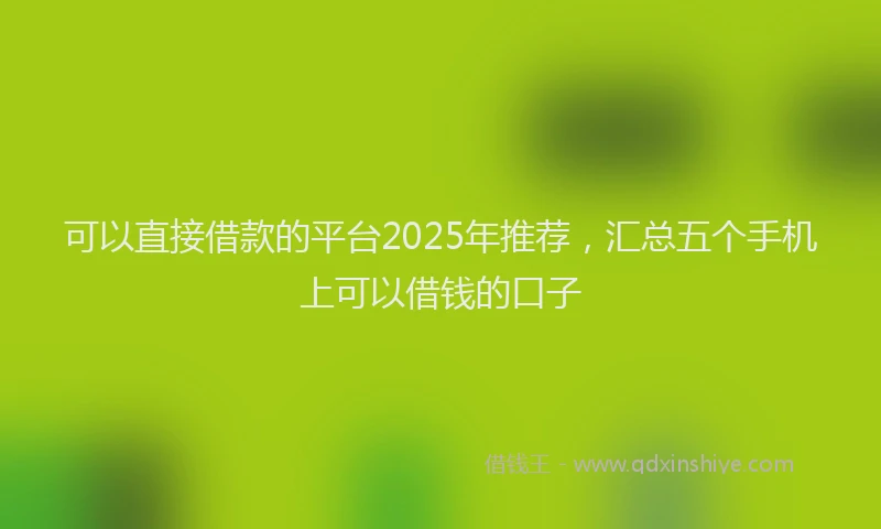可以直接借款的平台2025年推荐，汇总五个手机上可以借钱的口子