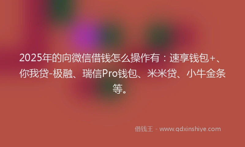 2025年的向微信借钱怎么操作有：速享钱包+、你我贷-极融、瑞信Pro钱包、米米贷、小牛金条等。