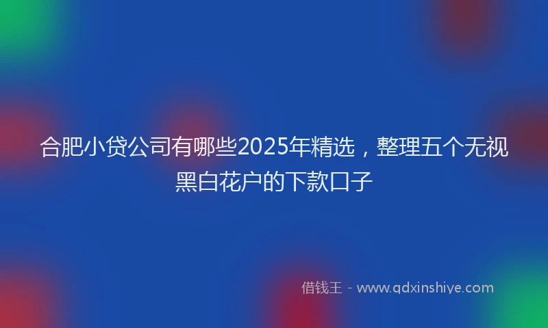 合肥小贷公司有哪些2025年精选，整理五个无视黑白花户的下款口子