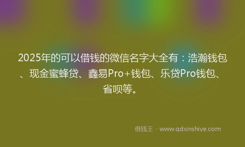 2025年的可以借钱的微信名字大全有：浩瀚钱包、现金蜜蜂贷、鑫易Pro+钱包、乐贷Pro钱包、省呗等。