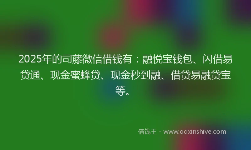 2025年的司藤微信借钱有：融悦宝钱包、闪借易贷通、现金蜜蜂贷、现金秒到融、借贷易融贷宝等。