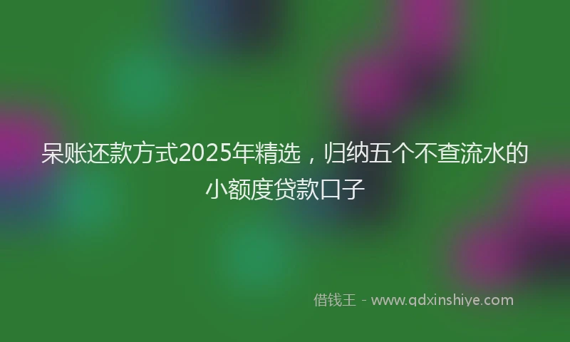 呆账还款方式2025年精选，归纳五个不查流水的小额度贷款口子