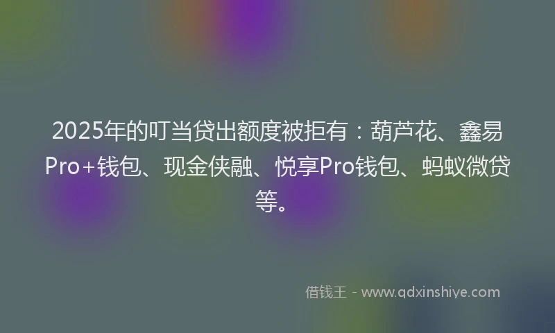 2025年的叮当贷出额度被拒有：葫芦花、鑫易Pro+钱包、现金侠融、悦享Pro钱包、蚂蚁微贷等。