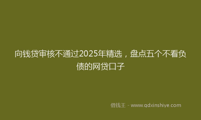 向钱贷审核不通过2025年精选，盘点五个不看负债的网贷口子