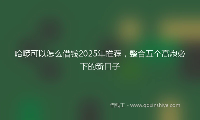 哈啰可以怎么借钱2025年推荐，整合五个高炮必下的新口子
