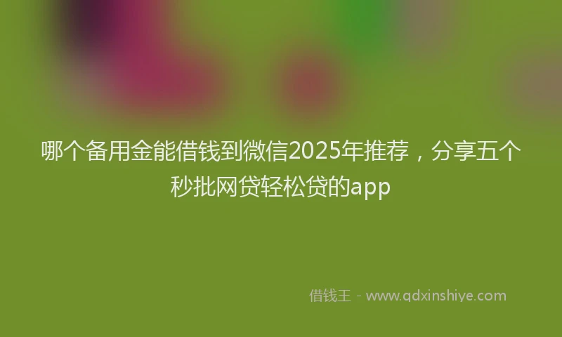 哪个备用金能借钱到微信2025年推荐，分享五个秒批网贷轻松贷的app