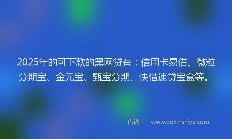 2025年的可下款的黑网贷有：信用卡易借、微粒分期宝、金元宝、甄宝分期、快借速贷宝盒等。