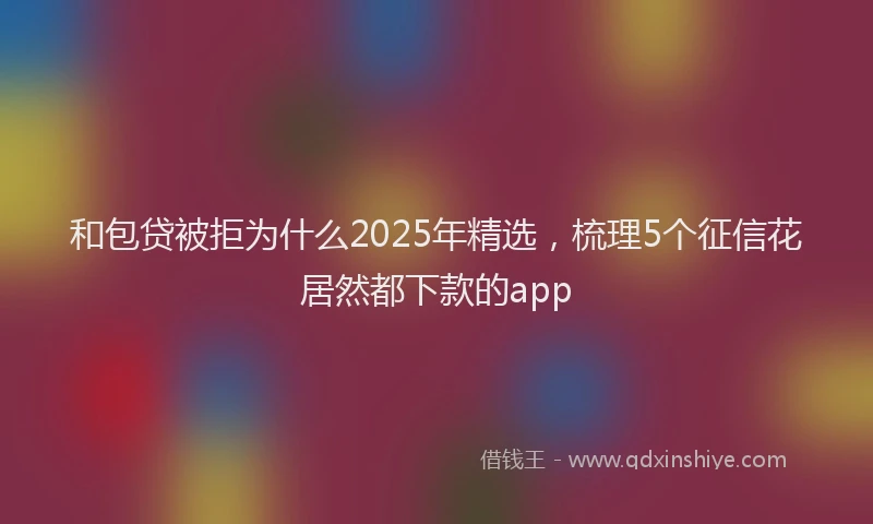 和包贷被拒为什么2025年精选，梳理5个征信花居然都下款的app