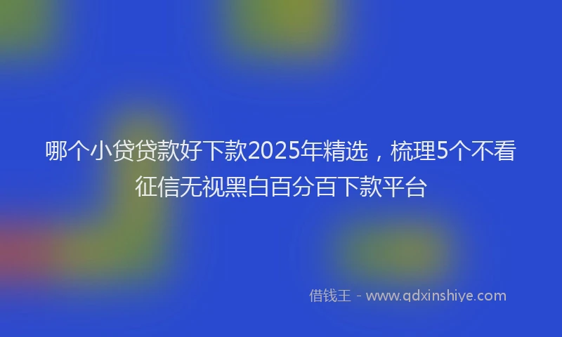 哪个小贷贷款好下款2025年精选，梳理5个不看征信无视黑白百分百下款平台