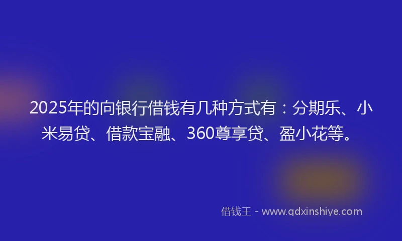 2025年的向银行借钱有几种方式有：分期乐、小米易贷、借款宝融、360尊享贷、盈小花等。