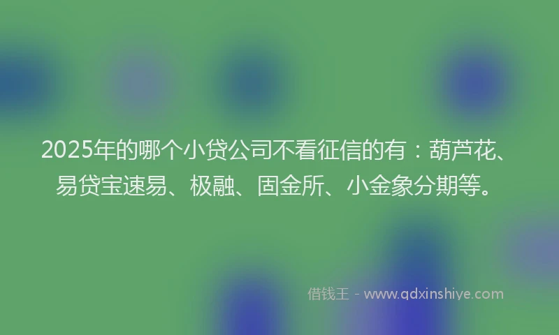 2025年的哪个小贷公司不看征信的有：葫芦花、易贷宝速易、极融、固金所、小金象分期等。