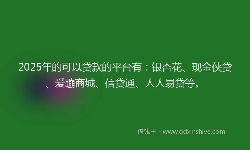 2025年的可以贷款的平台有：银杏花、现金侠贷、爱蹦商城、信贷通、人人易贷等。