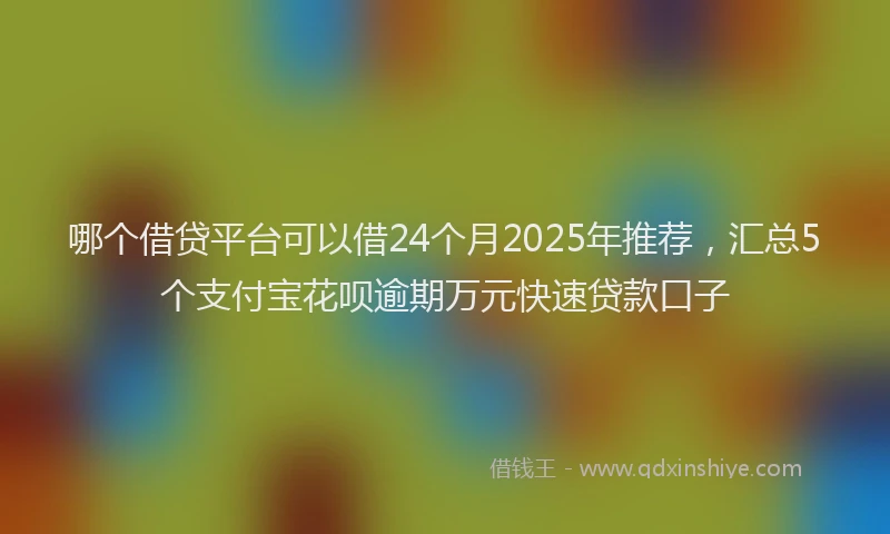 哪个借贷平台可以借24个月2025年推荐，汇总5个支付宝花呗逾期万元快速贷款口子
