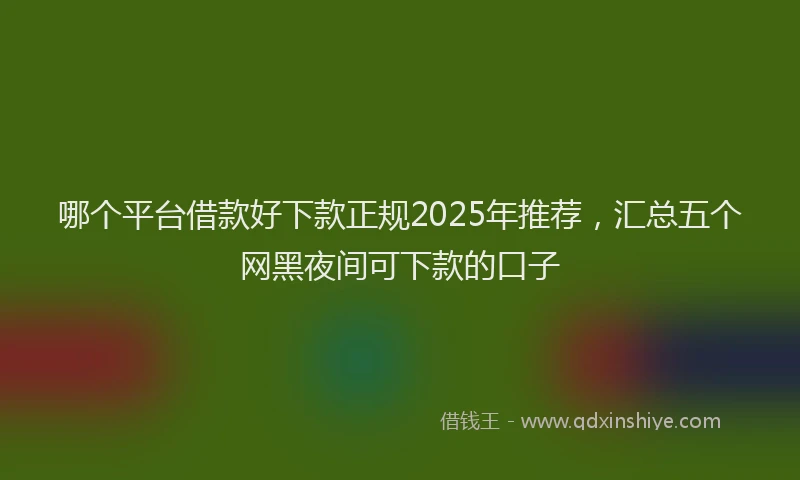 哪个平台借款好下款正规2025年推荐，汇总五个网黑夜间可下款的口子