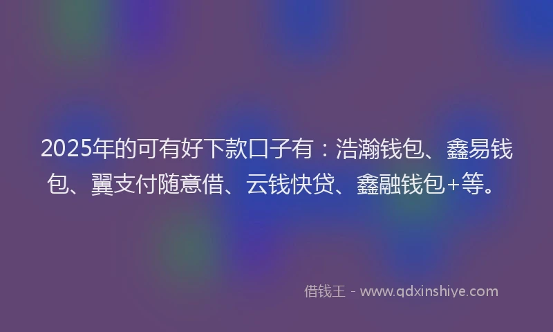 2025年的可有好下款口子有：浩瀚钱包、鑫易钱包、翼支付随意借、云钱快贷、鑫融钱包+等。