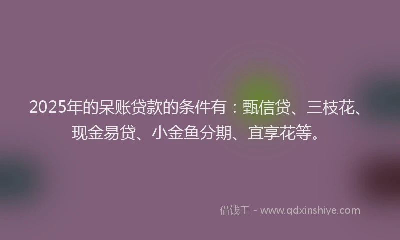 2025年的呆账贷款的条件有：甄信贷、三枝花、现金易贷、小金鱼分期、宜享花等。