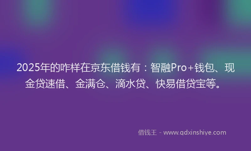 2025年的咋样在京东借钱有：智融Pro+钱包、现金贷速借、金满仓、滴水贷、快易借贷宝等。