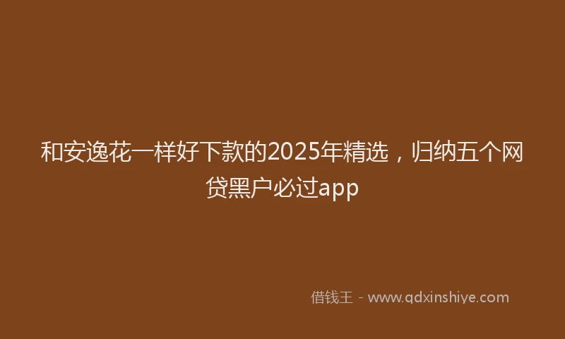和安逸花一样好下款的2025年精选，归纳五个网贷黑户必过app