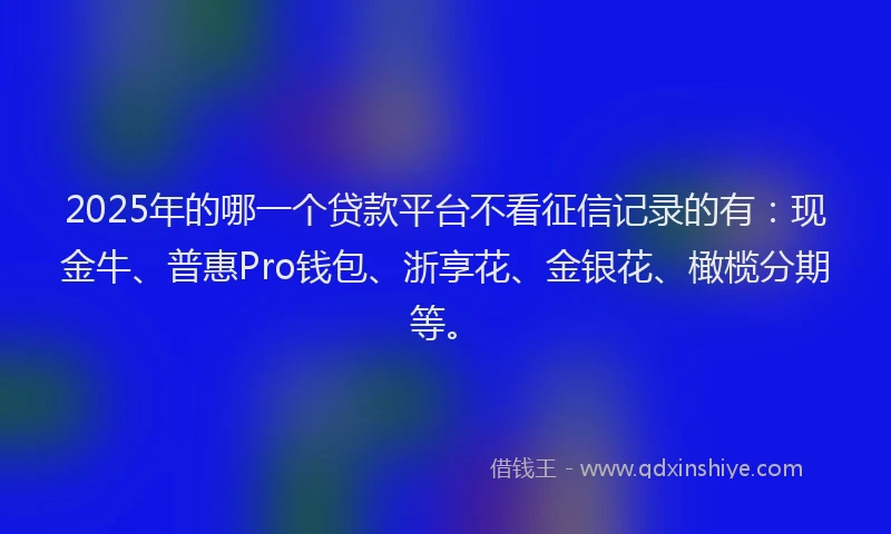 2025年的哪一个贷款平台不看征信记录的有：现金牛、普惠Pro钱包、浙享花、金银花、橄榄分期等。