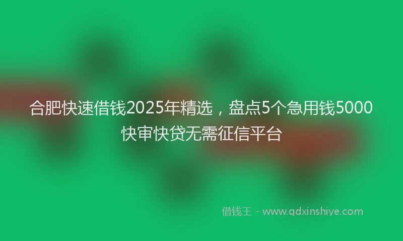 合肥快速借钱2025年精选，盘点5个急用钱5000快审快贷无需征信平台