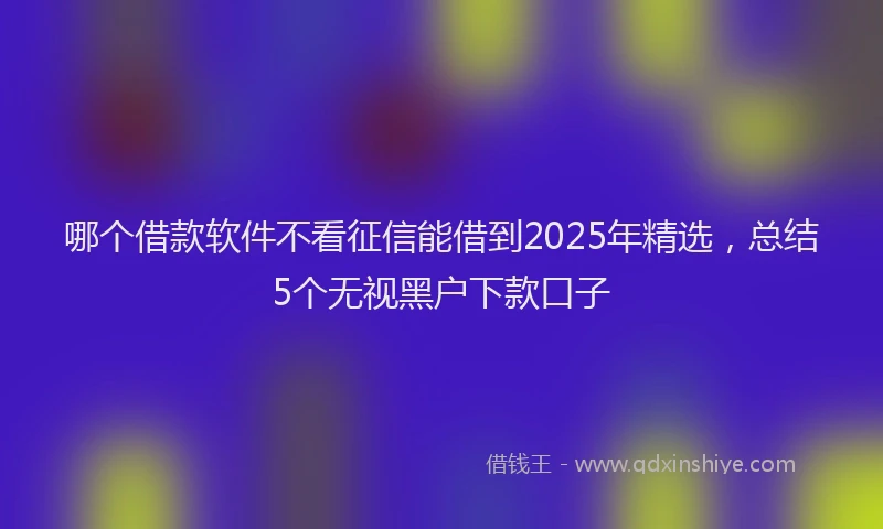 哪个借款软件不看征信能借到2025年精选，总结5个无视黑户下款口子