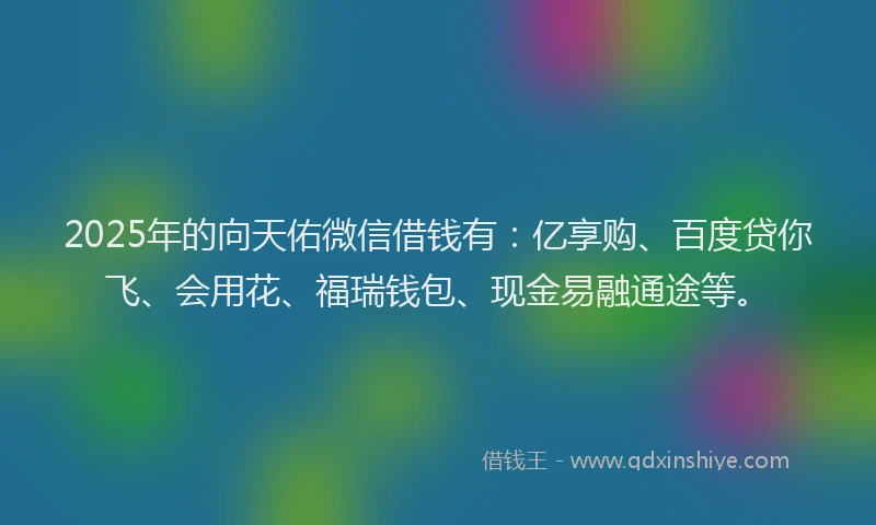 2025年的向天佑微信借钱有：亿享购、百度贷你飞、会用花、福瑞钱包、现金易融通途等。