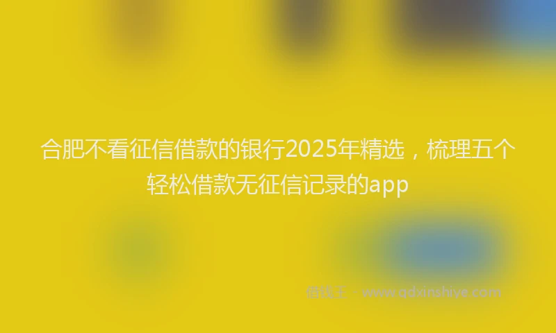 合肥不看征信借款的银行2025年精选，梳理五个轻松借款无征信记录的app