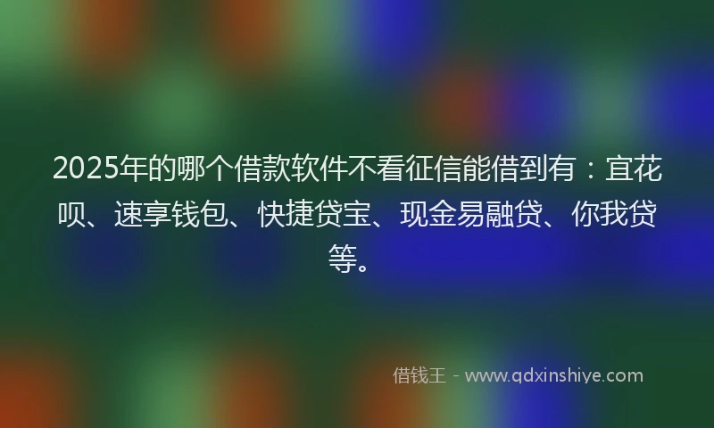 2025年的哪个借款软件不看征信能借到有：宜花呗、速享钱包、快捷贷宝、现金易融贷、你我贷等。