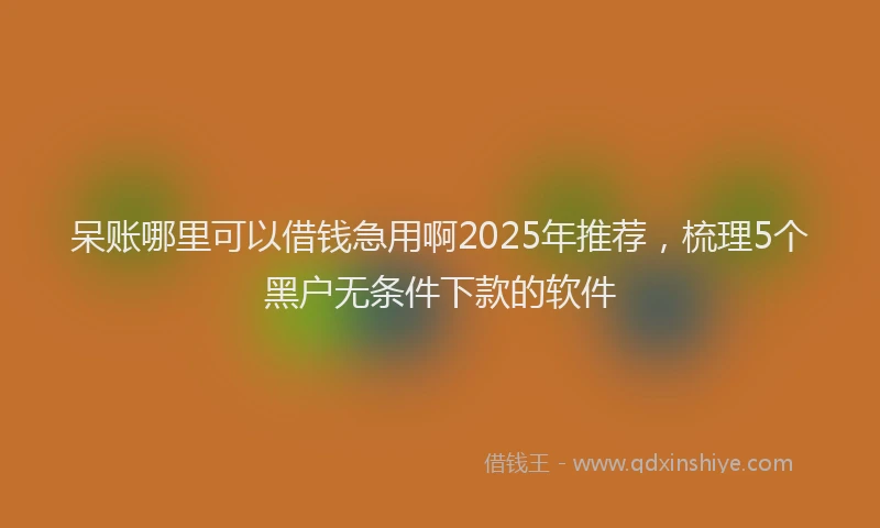 呆账哪里可以借钱急用啊2025年推荐，梳理5个黑户无条件下款的软件