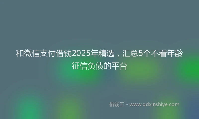 和微信支付借钱2025年精选，汇总5个不看年龄征信负债的平台