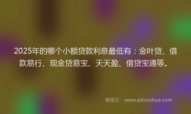 2025年的哪个小额贷款利息最低有:金叶贷、借款易行、现金贷易宝、天天盈、借贷宝通等。