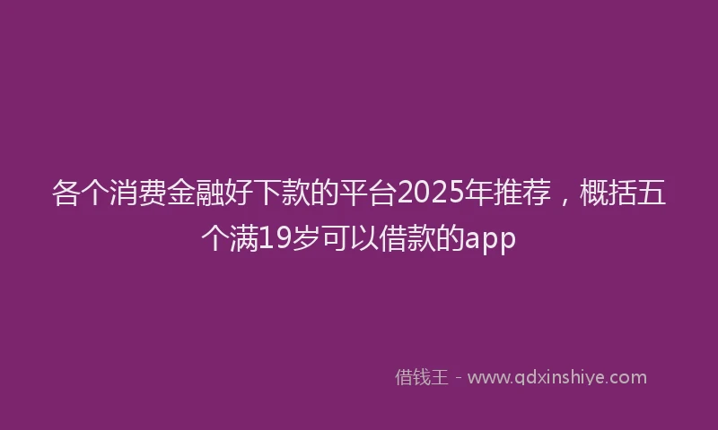 各个消费金融好下款的平台2025年推荐，概括五个满19岁可以借款的app