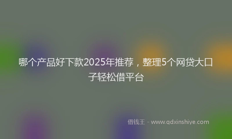 哪个产品好下款2025年推荐，整理5个网贷大口子轻松借平台