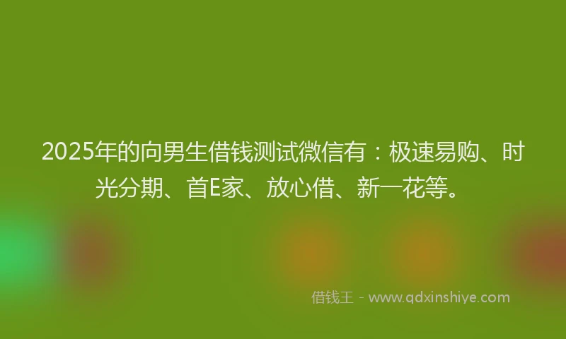 2025年的向男生借钱测试微信有：极速易购、时光分期、首E家、放心借、新一花等。