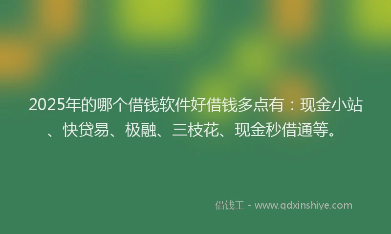 2025年的哪个借钱软件好借钱多点有：现金小站、快贷易、极融、三枝花、现金秒借通等。