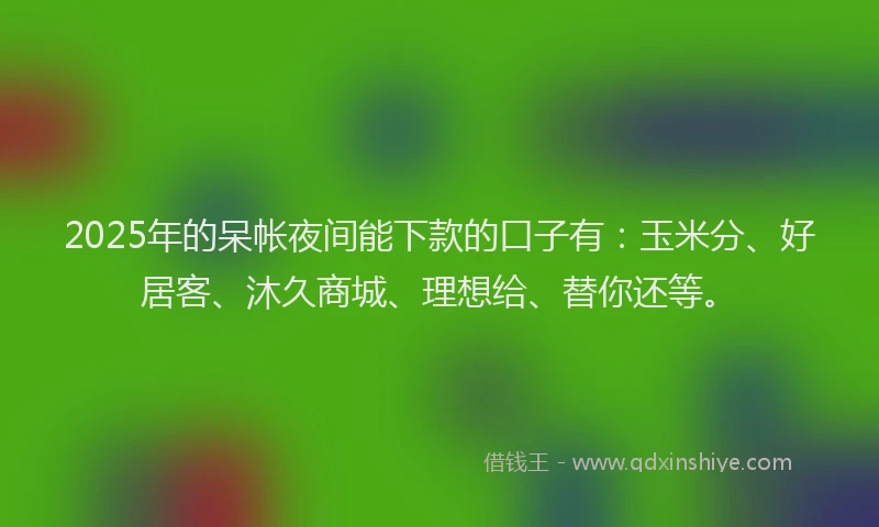2025年的呆帐夜间能下款的口子有：玉米分、好居客、沐久商城、理想给、替你还等。