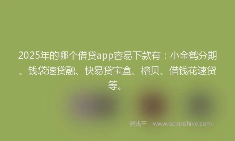 2025年的哪个借贷app容易下款有：小金鹤分期、钱袋速贷融、快易贷宝盒、榕贝、借钱花速贷等。