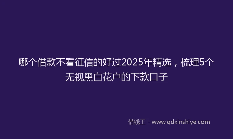 哪个借款不看征信的好过2025年精选，梳理5个无视黑白花户的下款口子