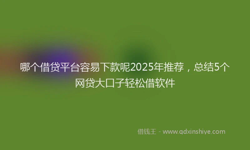 哪个借贷平台容易下款呢2025年推荐，总结5个网贷大口子轻松借软件