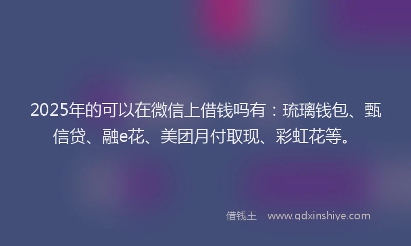 2025年的可以在微信上借钱吗有：琉璃钱包、甄信贷、融e花、美团月付取现、彩虹花等。