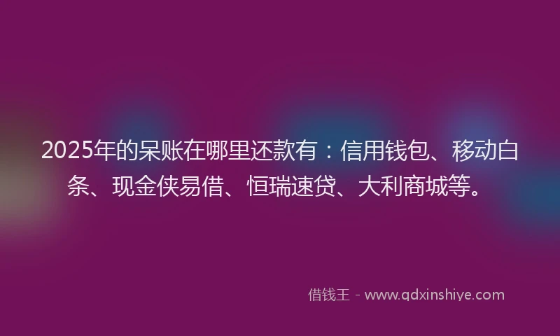 2025年的呆账在哪里还款有：信用钱包、移动白条、现金侠易借、恒瑞速贷、大利商城等。