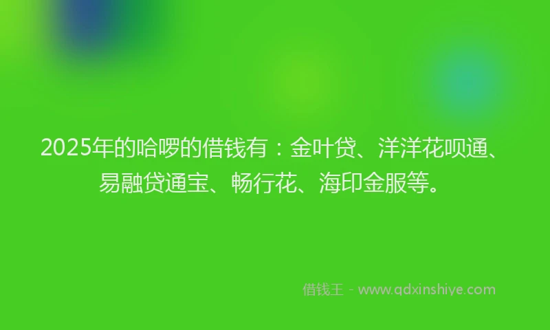 2025年的哈啰的借钱有：金叶贷、洋洋花呗通、易融贷通宝、畅行花、海印金服等。