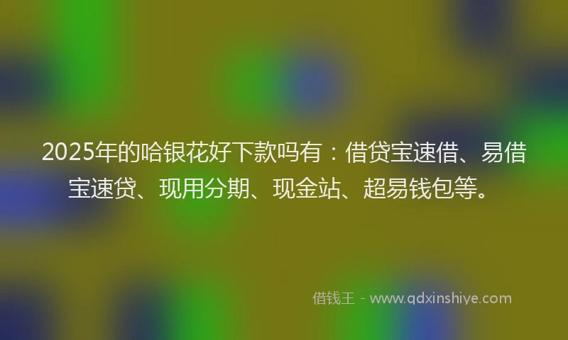 2025年的哈银花好下款吗有：借贷宝速借、易借宝速贷、现用分期、现金站、超易钱包等。