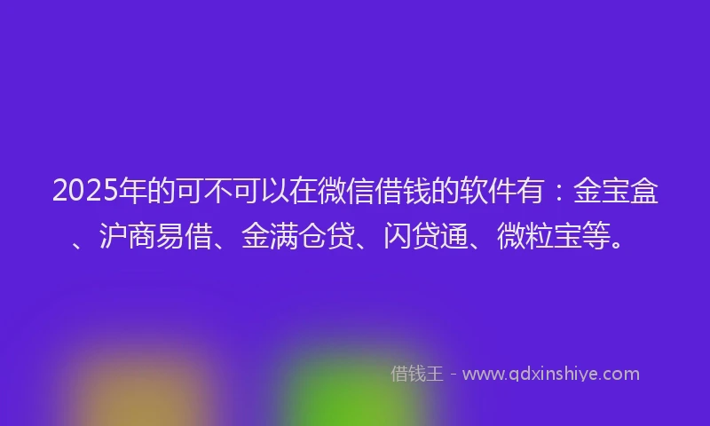 2025年的可不可以在微信借钱的软件有：金宝盒、沪商易借、金满仓贷、闪贷通、微粒宝等。