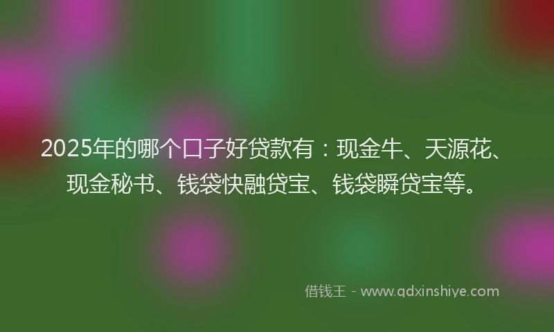 2025年的哪个口子好贷款有：现金牛、天源花、现金秘书、钱袋快融贷宝、钱袋瞬贷宝等。