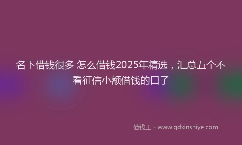 名下借钱很多 怎么借钱2025年精选，汇总五个不看征信小额借钱的口子