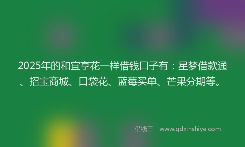 2025年的和宜享花一样借钱口子有：星梦借款通、招宝商城、口袋花、蓝莓买单、芒果分期等。
